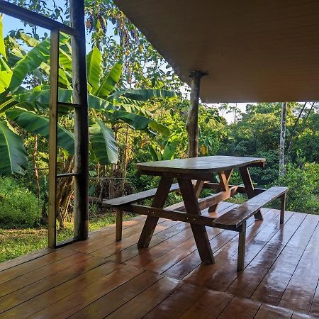 Hotel Corcovado Mountain House Drake Bay Zewnętrze zdjęcie