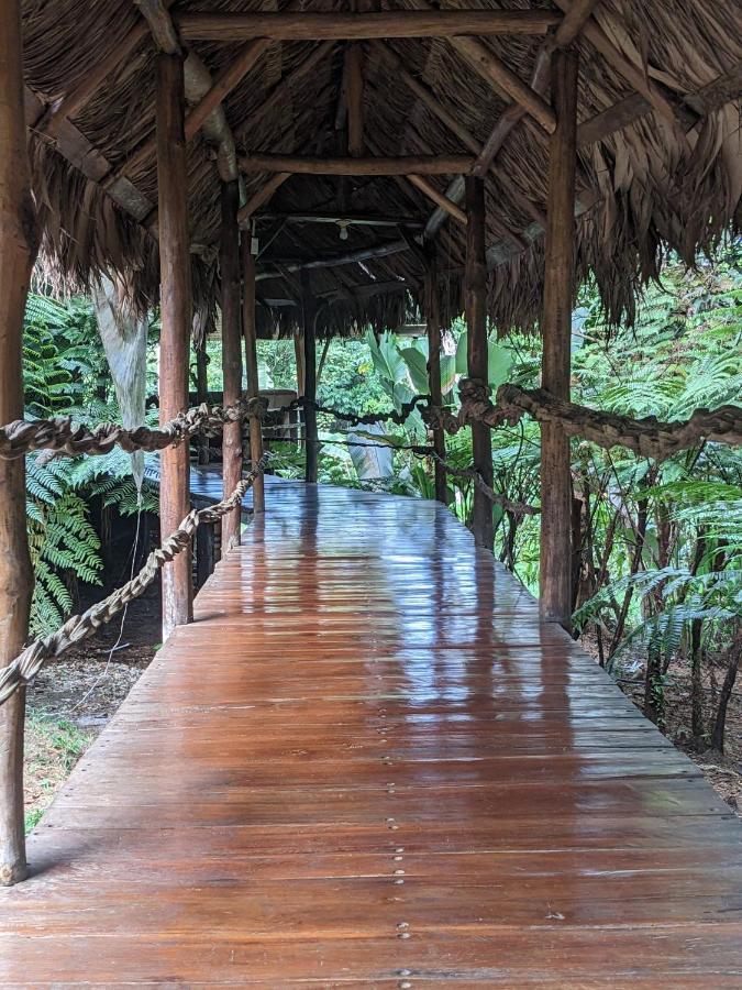 Hotel Corcovado Mountain House Drake Bay Zewnętrze zdjęcie
