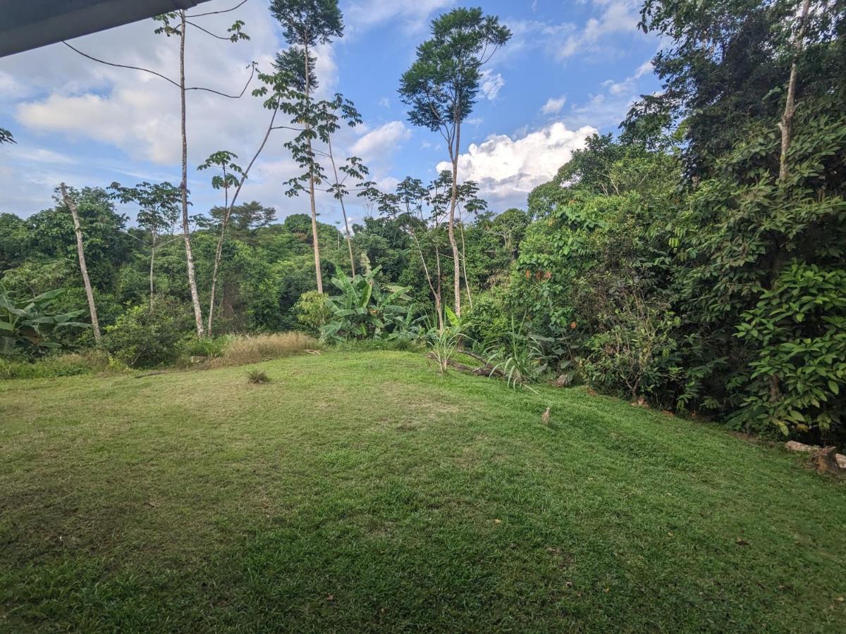Hotel Corcovado Mountain House Drake Bay Zewnętrze zdjęcie